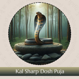 Kal Sarp Dosh Nivaran Puja