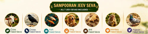 What is Jeev Seva? Spiritual Benefits of Feeding Animals in Hindu Dharma