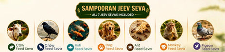 What is Jeev Seva? Spiritual Benefits of Feeding Animals in Hindu Dharma