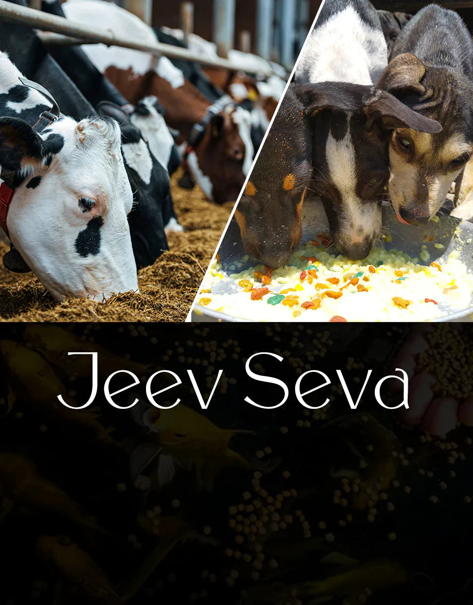 Animal Feeding, Cow Seva & Monkey Feeding as Per Scriptures