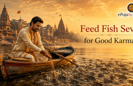 Feed Fish Seva for Good Karma: Meaning and Spiritual Benefits
