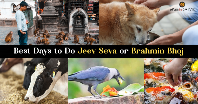 Best Days to Do Jeev Seva or Brahmin Bhoj