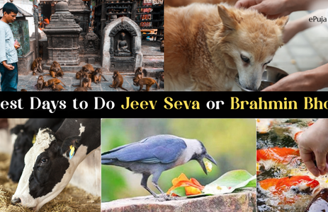 Best Days to Do Jeev Seva or Brahmin Bhoj