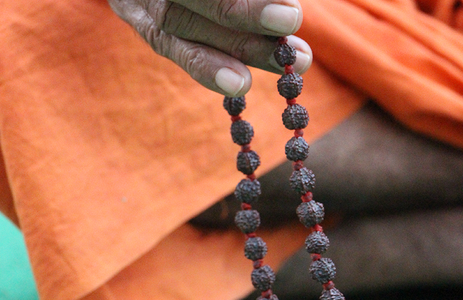 A Complete Guide to Rudraksha: Origin, Significance, Types & How to Identify Original Beads