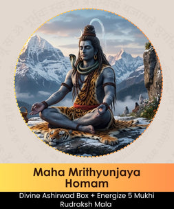 Maha Mrithyunjaya Homam / Homa | Maha Mrityunjay Hawan