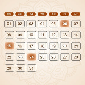 Mulank 6 Activation Puja | Lucky Number Activation Puja