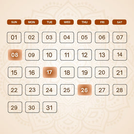 Mulank 8 Activation Puja | Lucky Number Activation Puja