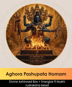 Aghora Pashupata Homam  | Online Puja Booking | epujabysatvik.com
