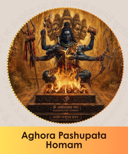 Aghora pashupata homam pooja online booking | India's largest online puja booking website epujabysatvik.com