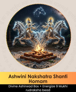 Ashwini Nakshatra Shanti Homam | Online Puja Booking | epujabysatvik.com
