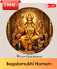 Bagalamukhi Hawan | Online Pooja Booking India's largest online puja booking website - epujabysatvik.com