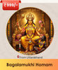 Bagalamukhi Homam Online |  India's largest online puja booking website - epujabysatvik.com