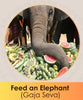 Gaja Seva elephant feeding Online Booking | India's largest, most trusted online puja booking website - epujabysatvik.com
