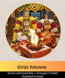 Girija Kalyana | Online Puja Booking | epujabysatvik.com
