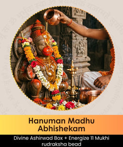 Hanuman Madhu Abhishekam | Online Puja Booking | epujabysatvik.com

