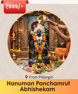 Hanuman Panchamrut abhishekam Online puja |  India's largest online puja booking website - epujabysatvik.com