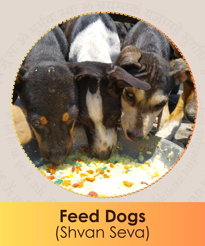 Feed Dogs (Shvan Seva)