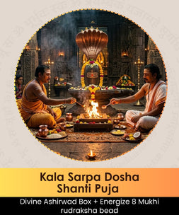 Kaala Sarpa Dosha Shanti Homa | Online Puja Booking | epujabysatvik.com
