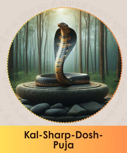 Kal Sharp Dosh pooja online booking | India's largest online puja booking website epujabysatvik.com
