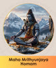 Maha Mrithyunjaya Homam pooja online booking | India's largest online puja booking website epujabysatvik.com