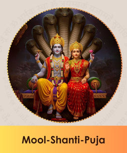 Mool Shanti pooja online booking | India's largest online puja booking website epujabysatvik.com