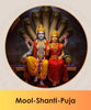 Mool Shanti pooja online booking | India's largest online puja booking website epujabysatvik.com