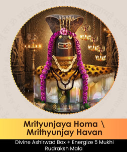 Mrityunjaya Homa | Online Puja Booking | epujabysatvik.com
