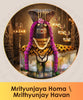 Mrityunjaya Homam pooja online booking | India's largest online puja booking website epujabysatvik.com