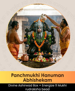 Panchmukhi Hanuman Abhishekam Pooja | Online Puja Booking | epujabysatvik.com
