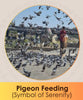 Pigeon feeding seva Online Booking | India's largest, most trusted online puja booking website - epujabysatvik.com
