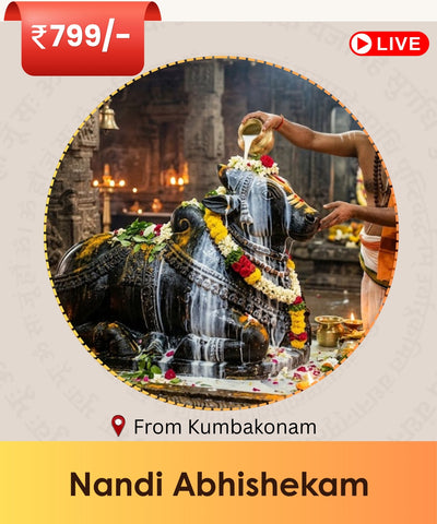 Pradosha Kalam Nandi Abhishek Puja for Good Health, Longevity & Wealth | Kumbakonam Live
