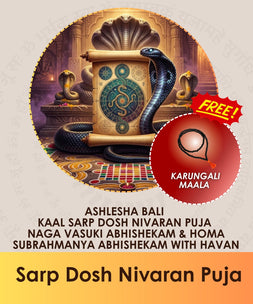 Sarp Dosh Nivaran Puja | Online Pooja Booking India's largest & most trusted online puja booking website - epujabysatvik.com
