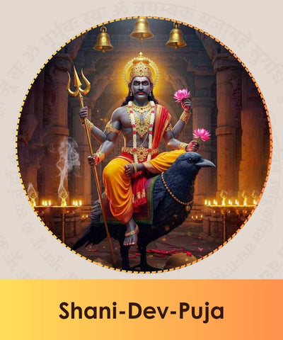 Shani Dev Puja (1 Day)