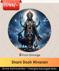Shani Dosh Nivaran | Online Puja Booking | epujabysatvik.com