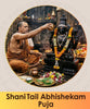Shani Tail Abhishekam Puja Online Pooja booking | India's largest online puja booking website - epujabysatvik.com