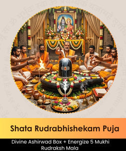Shata Rudrabhishekam Puja | Online Puja Booking | epujabysatvik.com

