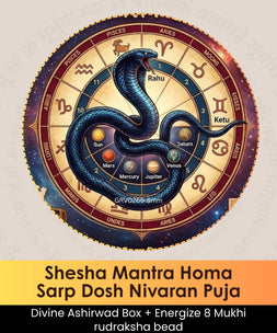 Shesha Mantra Homa | Online Puja Booking | epujabysatvik.com