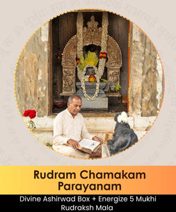 Sri Rudram Chamakam Parayan | Online Puja Booking | epujabysatvik.com
