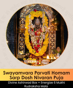 Subramanya Sahasranama Homam | Online Puja Booking | epujabysatvik.com
