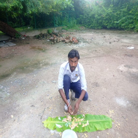 Feed Crows (Pitru Seva)